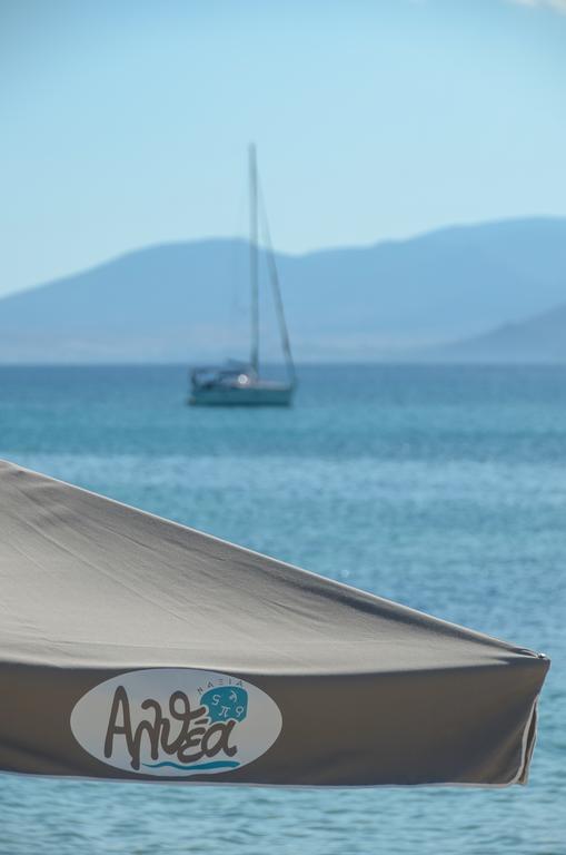 Naxian Althea Apartment Agia Anna  Екстериор снимка